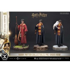 Harry Potter - Statuette Prime Collectibles 1/6 Harry Potter 28 cm