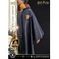 Harry Potter - Statuette Prime Collectibles 1/6 28 cm Harry Potter - Statuette Prime Collectibles 1/6 28 cm