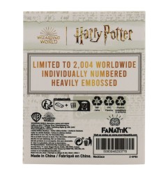 Harry Potter - Pendentif et collier Azkaban