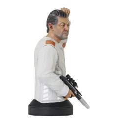 Star Wars - : Andor buste 1/6 Kino Loy 16 cm