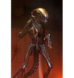 Alien : Romulus - Figurine Ultimate Scorched Xenomorph 18 cm