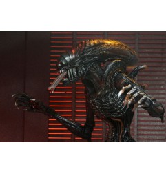 Alien : Romulus - Figurine Ultimate Scorched Xenomorph 18 cm