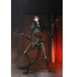 Alien : Romulus - Figurine Ultimate Scorched Xenomorph 18 cm
