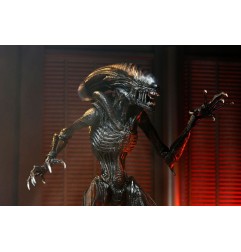 Alien : Romulus - Figurine Ultimate Scorched Xenomorph 18 cm