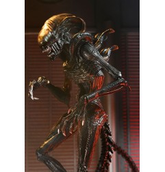 Alien : Romulus - Figurine Ultimate Scorched Xenomorph 18 cm