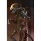 Alien : Romulus - Figurine Ultimate Scorched Xenomorph 18 cm