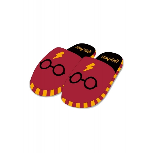Harry Potter - Chaussons Where's
