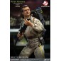 S.O.S Fantômes - Ghostbusters statuette  1/8 Peter Venkman 22 cm