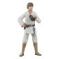 Star Wars Episode IV Black Series - Figurine Luke Skywalker 15 cm Star Wars Episode IV Black Series - Figurine Luke Skywalker 15 cm