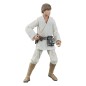 Star Wars Episode IV Black Series - Figurine Luke Skywalker 15 cm Star Wars Episode IV Black Series - Figurine Luke Skywalker 15 cm