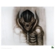 Alien - Set 5 lithographies 35 x 28 cm
