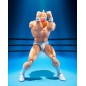 Kinnikuman - Figurine S.H.Figuarts  Perfect Origin Arc 16 cm