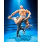 Kinnikuman - Figurine S.H.Figuarts Kinnikuman Perfect Origin Arc 16 cm