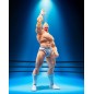 Kinnikuman - Figurine S.H.Figuarts Kinnikuman Perfect Origin Arc 16 cm