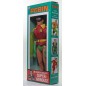DC Comics - : World's Greatest Super-Heroes figurine Robin 50th Anniversary 20 cm DC Comics - : World's Greatest Super-Heroes figurine Robin 50th Anniversary 20 cm