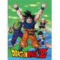 Dragon Ball - Couverture polaire Namek 100 x 150 cm
