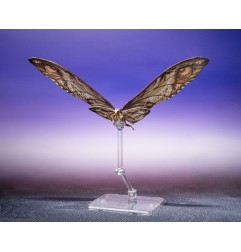 Godzilla X Kong: The New Empire - Pack 2 figurines S.H. Monster Arts Suko & Mothra