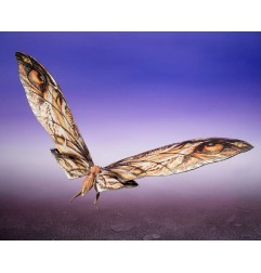 Godzilla X Kong: The New Empire - Pack 2 figurines S.H. Monster Arts Suko & Mothra