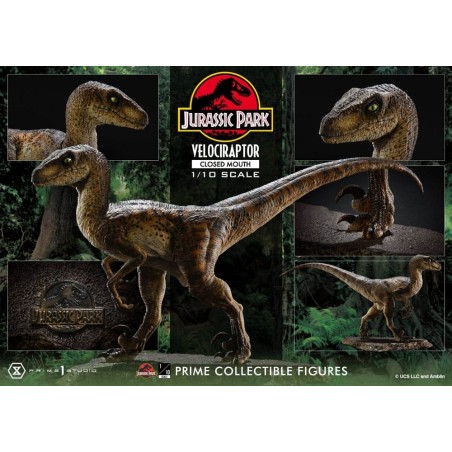 Jurassic Park - Statuette Prime Collectibles 1/10 Velociraptor Closed Mouth 19 cm