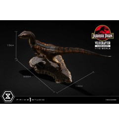 Jurassic Park - Statuette Prime Collectibles 1/10 Velociraptor Closed Mouth 19 cm