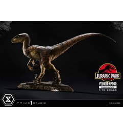 Jurassic Park - Statuette Prime Collectibles 1/10 Velociraptor Closed Mouth 19 cm