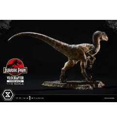 Jurassic Park - Statuette Prime Collectibles 1/10 Velociraptor Closed Mouth 19 cm
