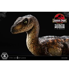 Jurassic Park - Statuette Prime Collectibles 1/10 Velociraptor Closed Mouth 19 cm