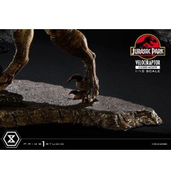 Jurassic Park - Statuette Prime Collectibles 1/10 Velociraptor Closed Mouth 19 cm