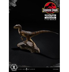 Jurassic Park - Statuette Prime Collectibles 1/10 Velociraptor Closed Mouth 19 cm