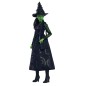 Wicked - Poupée Elphaba 29 cm
