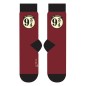 Harry Potter - Mug et chaussettes Set 9 3/4