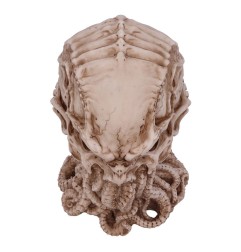 Cthulhu - Figurine Skull 20 cm