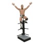 AEW Gallery - Statuette Bryan Danielson 25 cm AEW Gallery - Statuette Bryan Danielson 25 cm