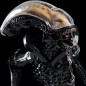 Alien - Figurine Mini Epics Xenomorph 18 cm Alien - Figurine Mini Epics Xenomorph 18 cm