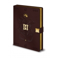 Harry Potter - Carnet de notes Premium A5 Quidditch