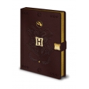 Harry Potter - Carnet de notes Premium A5 Quidditch