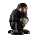 Les Animaux fantastiques - Statue Life-Size 1/1 Niffler 32 cm
