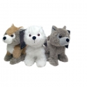 GAME OF THRONES - Set de 3 Peluches Louveteaugarou 