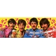 The Beatles - Jeu de cartes The Beatles Green Version
