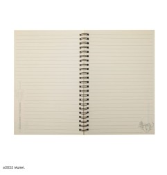 Les Maîtres de l'univers : Révélation - Cahier He-Man