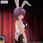 The Melancholy of Haruhi Suzumiya - Statuette PVC BiCute Bunnies Yuki Nagato 28 cm