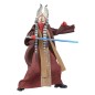 Star Wars Episode II Black Series - Figurine Shaak Ti 15 cm