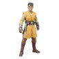 Star Wars : The Acolyte Vintage Collection - Figurine Jedi Knight Yord Fandar 10 cm