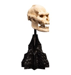 Le Seigneur des Anneaux - Statuette Skull of Lurtz 14 cm