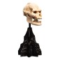 Le Seigneur des Anneaux - Statuette Skull of Lurtz 14 cm