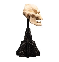 Le Seigneur des Anneaux - Statuette Skull of Lurtz 14 cm