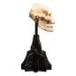 Le Seigneur des Anneaux - Statuette Skull of Lurtz 14 cm