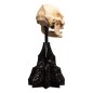 Le Seigneur des Anneaux - Statuette Skull of Lurtz 14 cm