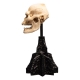 Le Seigneur des Anneaux - Statuette Skull of Lurtz 14 cm