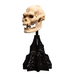 Le Seigneur des Anneaux - Statuette Skull of Lurtz 14 cm